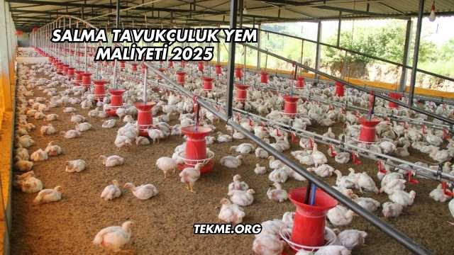 Salma Tavukçuluk Yem Maliyeti 2025