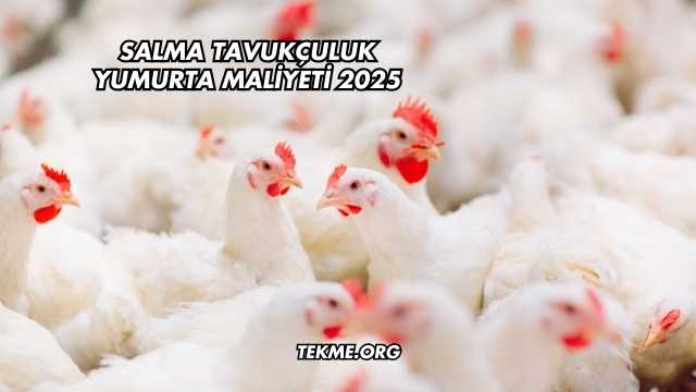 Salma Tavukçuluk Yumurta Maliyeti 2025