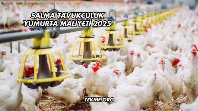 Salma Tavukçuluk Yumurta Maliyeti 2025