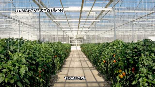 Sera Açma Maliyeti 2025