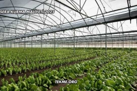 Sera Kurma Maliyeti 2025