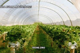Sera Kurma Maliyeti 2025