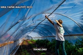 Sera Yapım Maliyeti 2025
