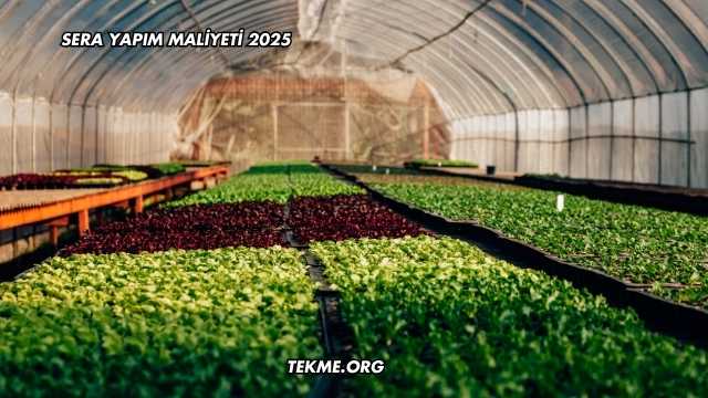 Sera Yapım Maliyeti 2025