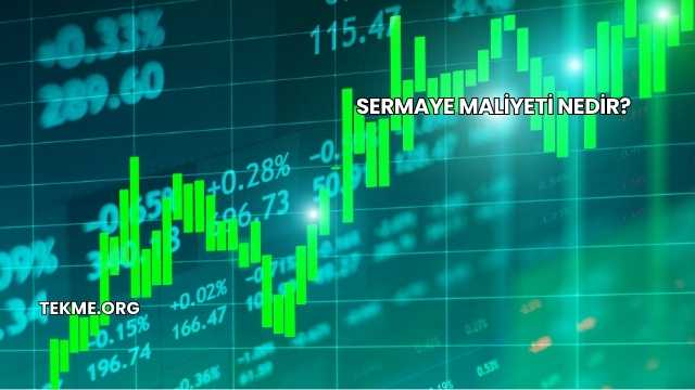 Sermaye Maliyeti Nedir?