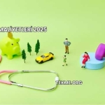 Sigorta Maliyetleri 2025