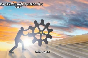 Sigorta Şirketi Hangi Hallerde Rücu Eder