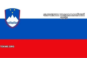 Slovenya Yaşam Maliyeti 2025