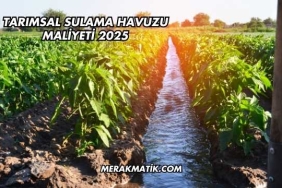 Tarımsal Sulama Havuzu Maliyeti 2025
