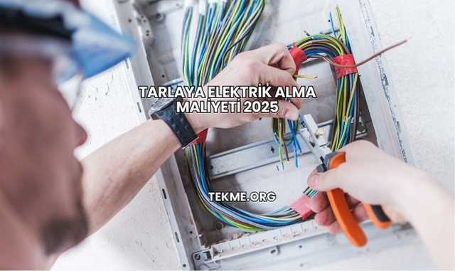 Tarlaya Elektrik Alma Maliyeti 2025