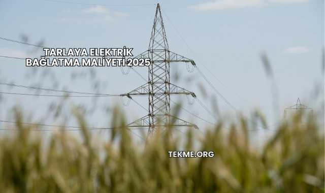 Tarlaya Elektrik Bağlatma Maliyeti 2025