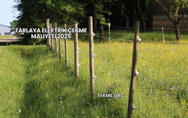 Tarlaya Elektrik Çekme Maliyeti 2025