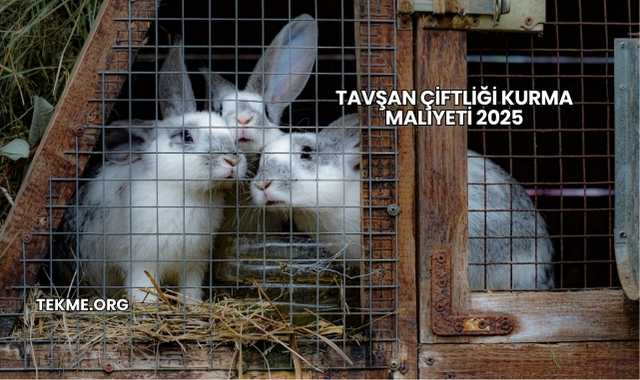 Tavşan Çiftliği Kurma Maliyeti 2025