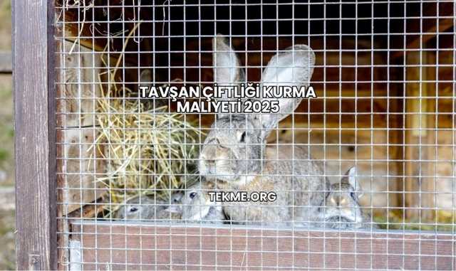 Tavşan Çiftliği Kurma Maliyeti 2025