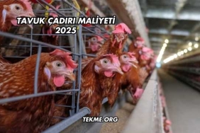 Tavuk Çadırı Maliyeti 2025