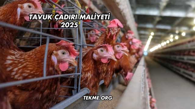 Tavuk Çadırı Maliyeti 2025