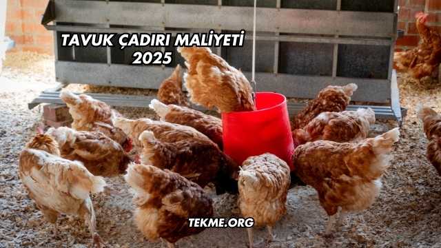 Tavuk Çadırı Maliyeti 2025