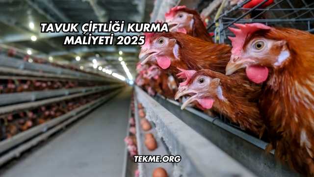 Tavuk Çiftliği Kurma Maliyeti 2025