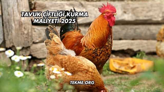 Tavuk Çiftliği Kurma Maliyeti 2025