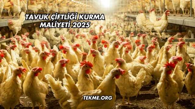 Tavuk Çiftliği Kurma Maliyeti 2025