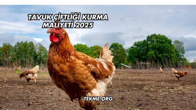 Tavuk Çiftliği Kurma Maliyeti 2025