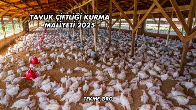 Tavuk Çiftliği Kurma Maliyeti 2025