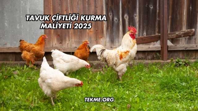 Tavuk Çiftliği Kurma Maliyeti 2025