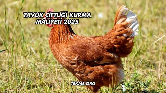 Tavuk Çiftliği Kurma Maliyeti 2025