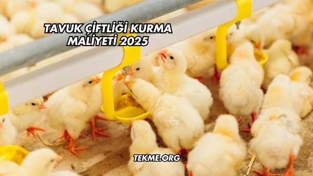 Tavuk Çiftliği Kurma Maliyeti 2025