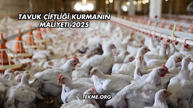 Tavuk Çiftliği Kurmanın Maliyeti 2025