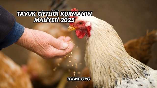 Tavuk Çiftliği Kurmanın Maliyeti 2025