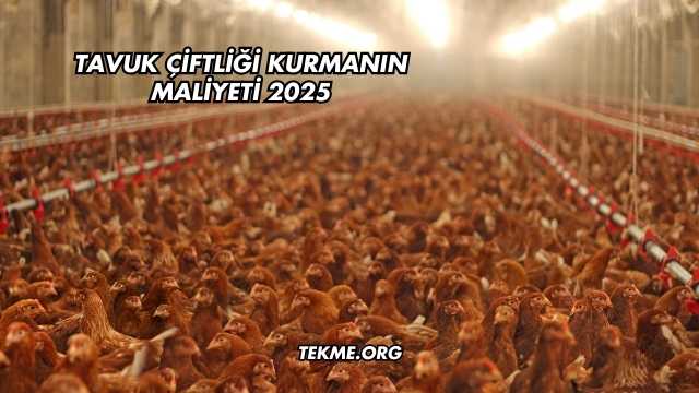 Tavuk Çiftliği Kurmanın Maliyeti 2025