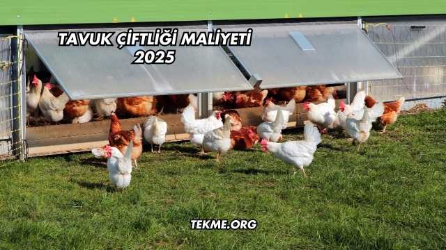 Tavuk Çiftliği Maliyeti 2025