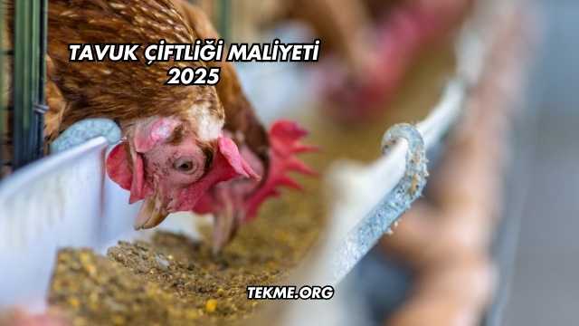 Tavuk Çiftliği Maliyeti 2025