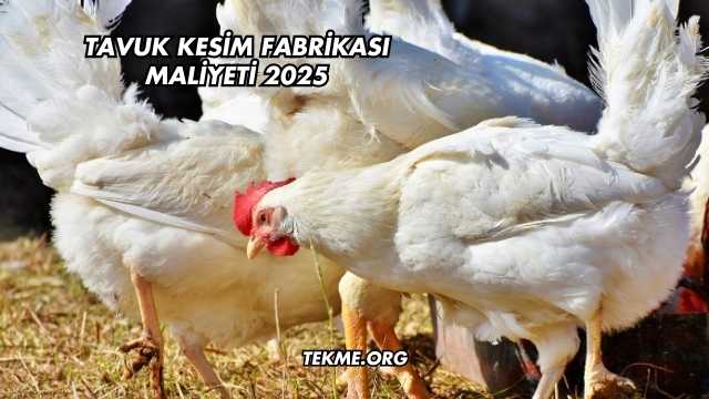 Tavuk Kesim Fabrikası Maliyeti 2025