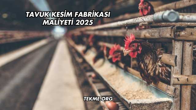 Tavuk Kesim Fabrikası Maliyeti 2025