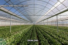 Topraklı Sera Maliyeti 2025