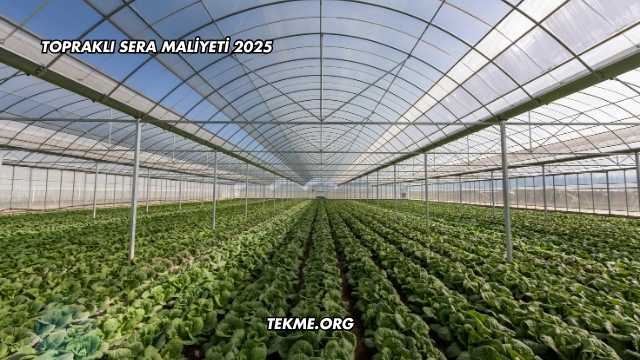 Topraklı Sera Maliyeti 2025