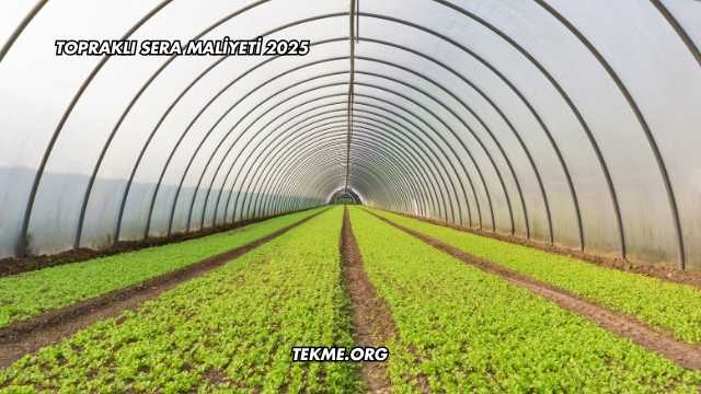 Topraklı Sera Maliyeti 2025
