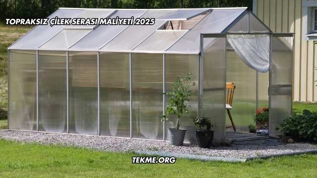 Topraksız Çilek Serası Maliyeti 2025