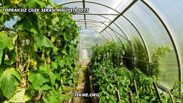 Topraksız Çilek Serası Maliyeti 2025