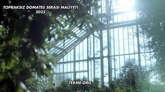 Topraksız Domates Serası Maliyeti 2025