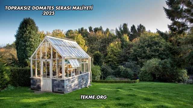 Topraksız Domates Serası Maliyeti 2025