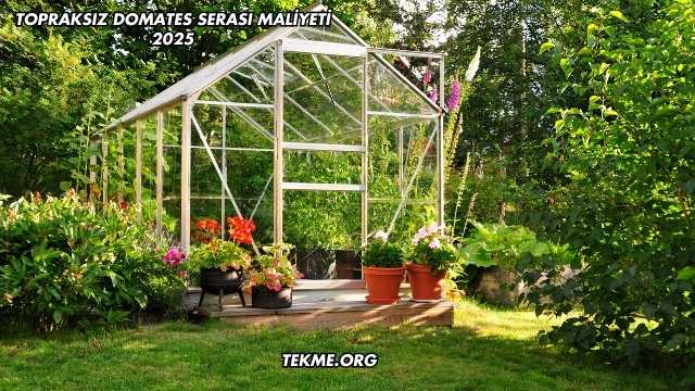 Topraksız Domates Serası Maliyeti 2025