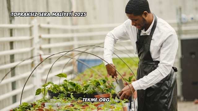 Topraksız Sera Maliyeti 2025