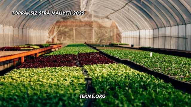 Topraksız Sera Maliyeti 2025
