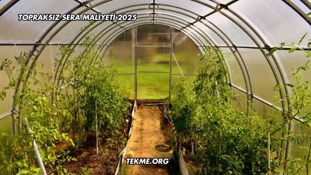 Topraksız Sera Maliyeti 2025