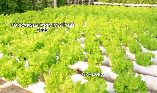 Topraksız Tarım Maliyeti 2025