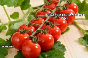 Topraksız Tarım Maliyeti 2025