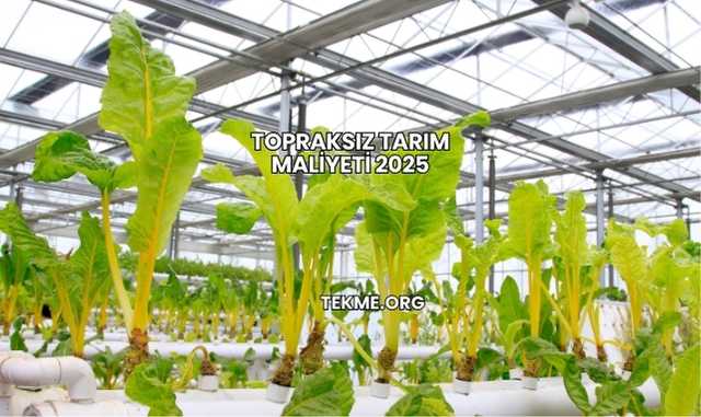 Topraksız Tarım Maliyeti 2025